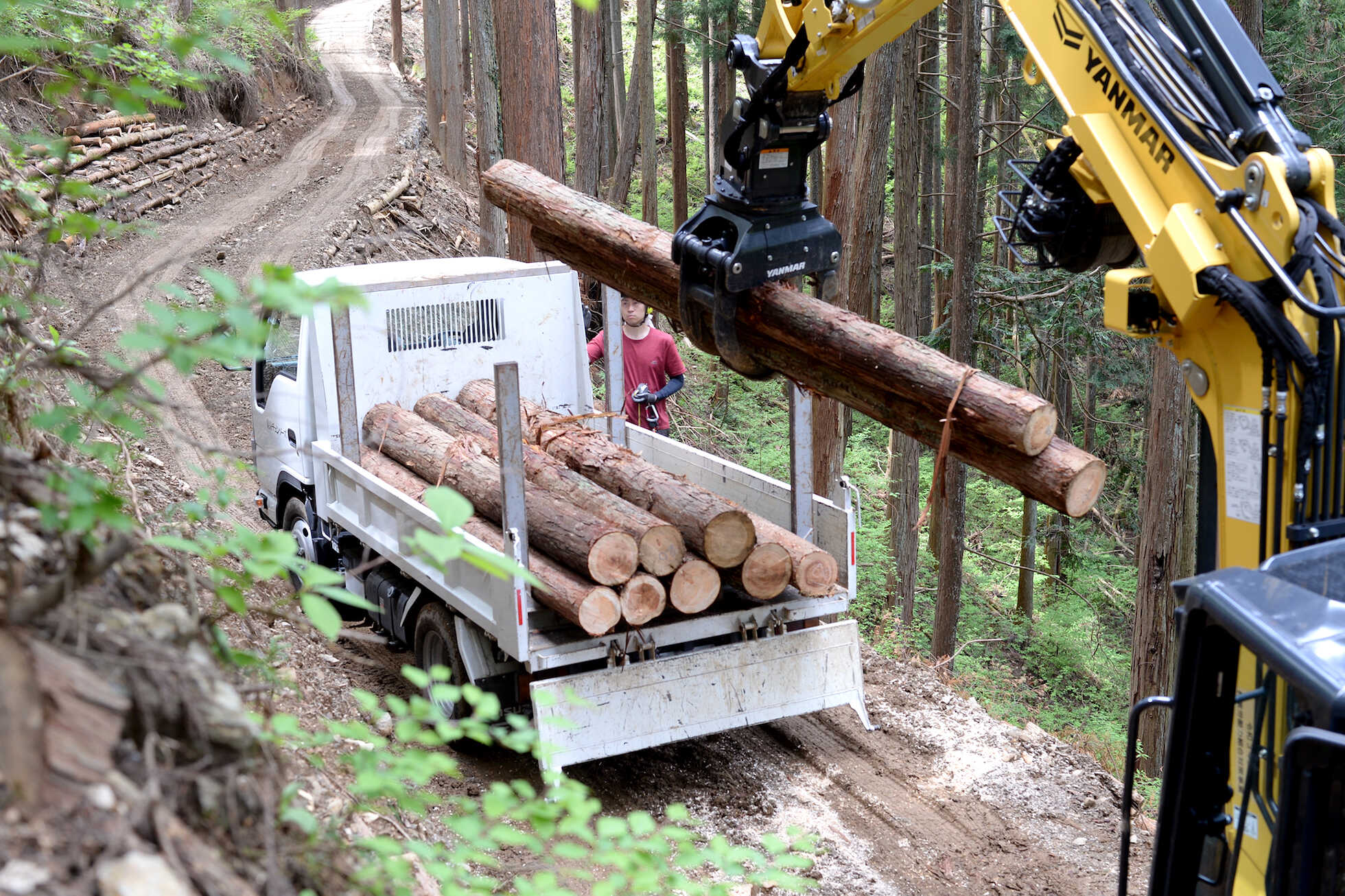 Sustainable Food Culture of Tokyo's Islands image6
