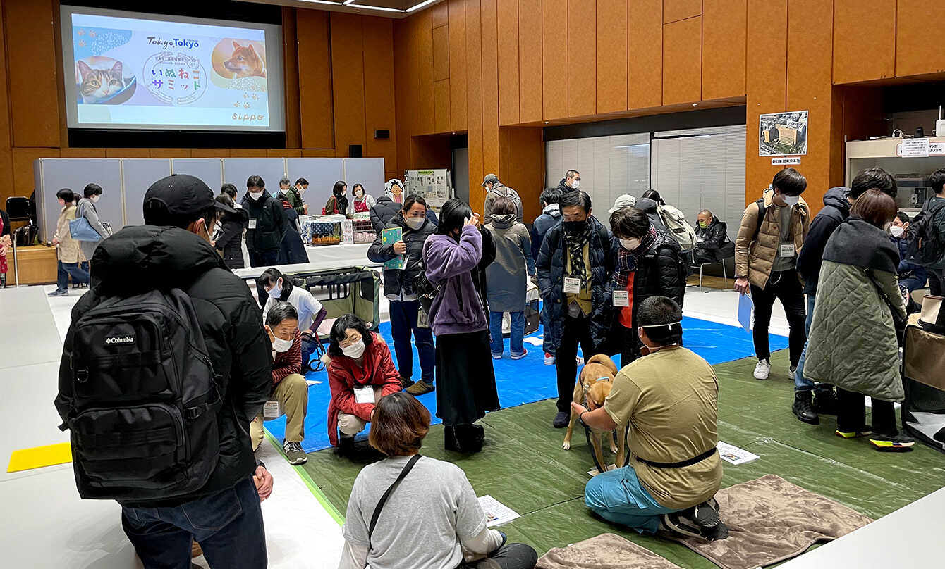 いぬねこ最先端都市TOKYO~いぬねこサミット~ イメージ10
