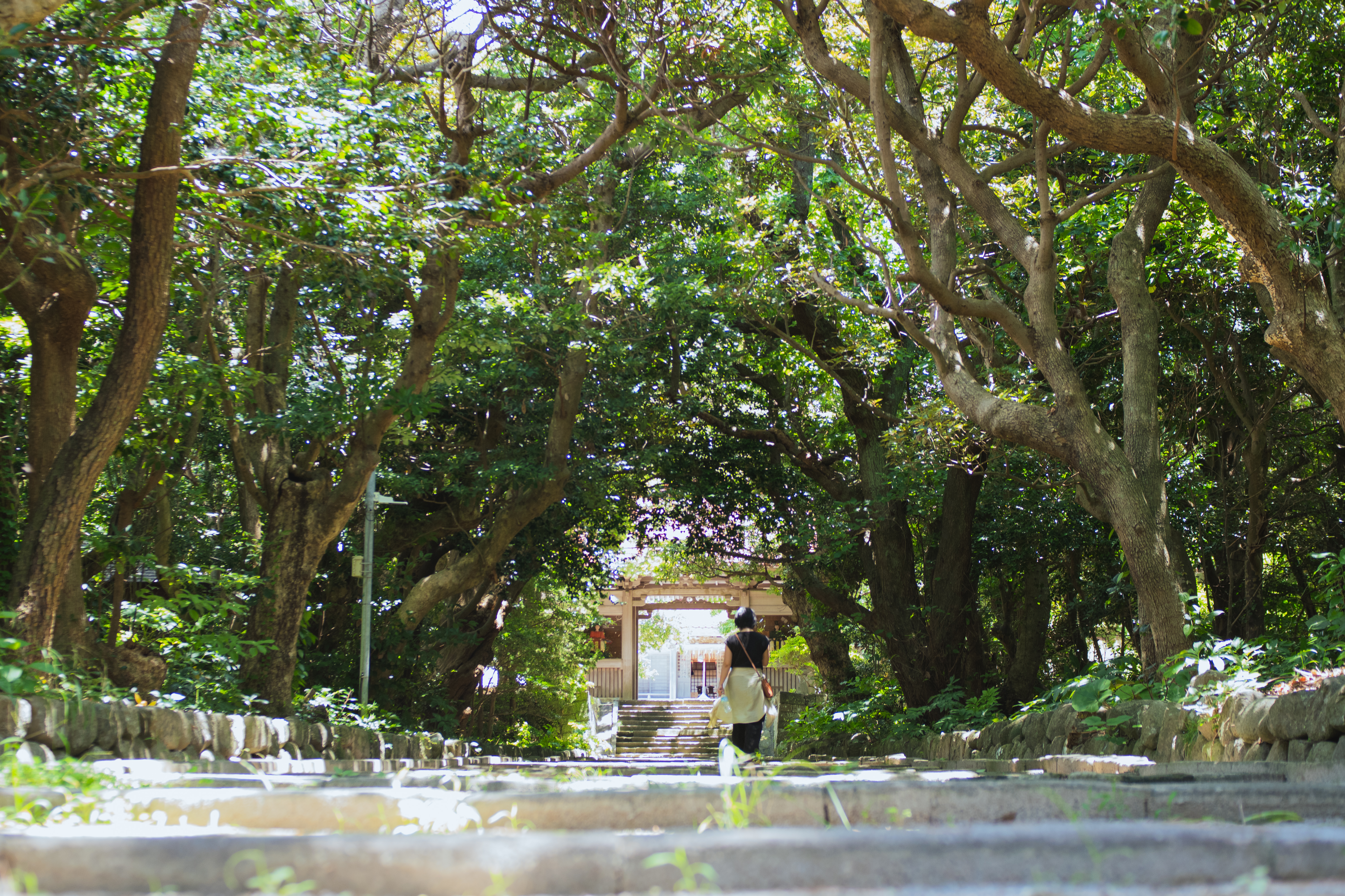 島散歩